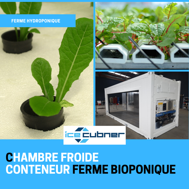 FERME HYDROPONIQUE CONTENEUR / FERME BIOPONIQUE