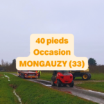 Livraison installation à mongauzy à côté de marmande, langon, tonnains casteljaloux conteneur 40 pieds occasion cubner